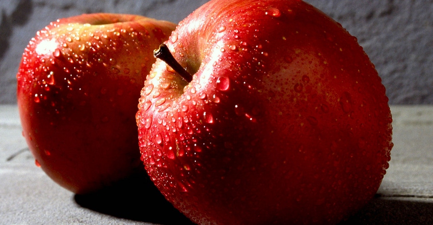 Close up of two red apples