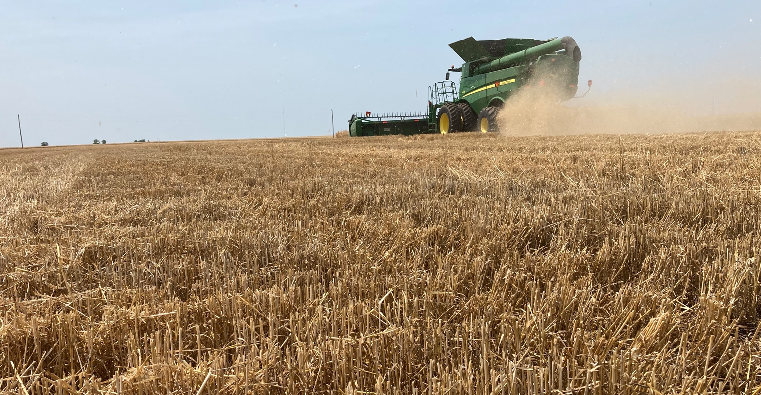 Kansas Wheat Harvest Report Week 1