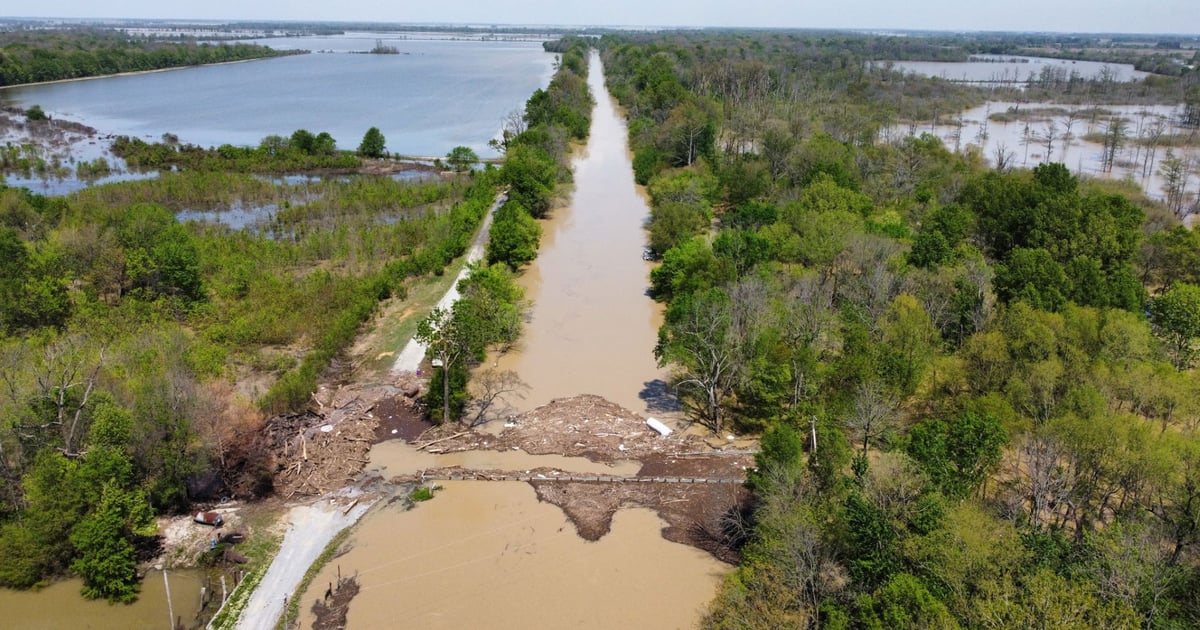 Cache River Rice Farmers battle 'new drift' as Cache River floods worsen