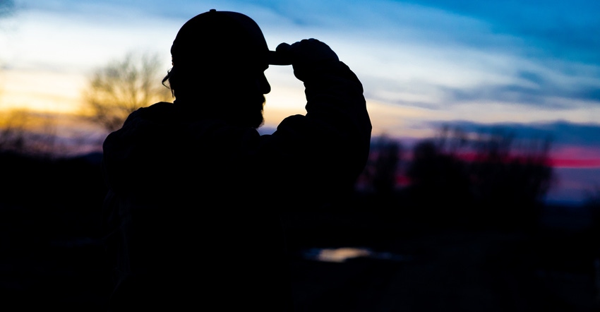 silhouette of farmer Dan Haynes looking out over farmland