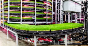The Grōv vertical farming system produces fresh cattle feed indoors