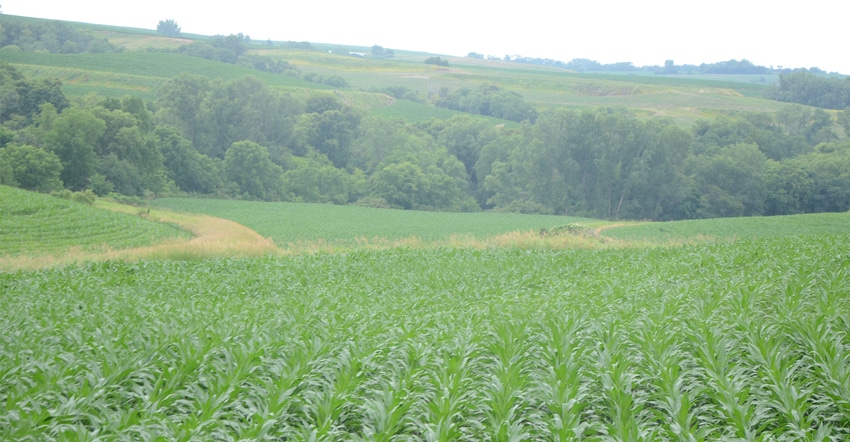 Corn fields and rolling hills