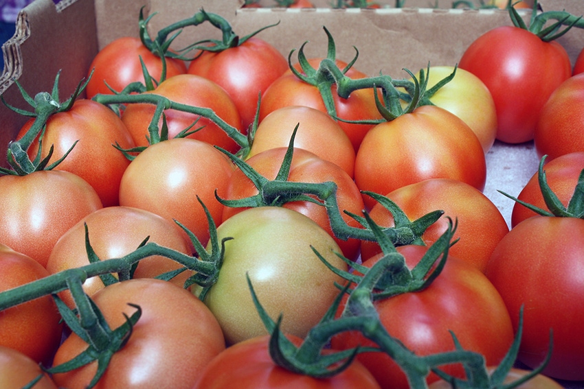 fla-tomatoes-a-haire-low.jpg