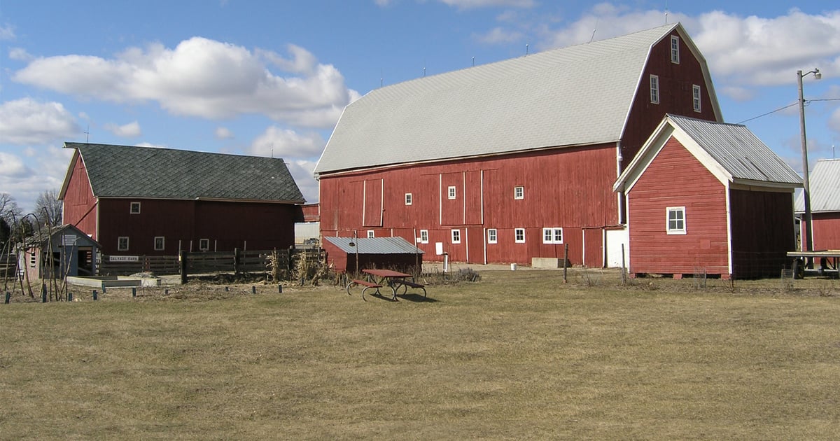 Carving out a farm from ‘cutover country’