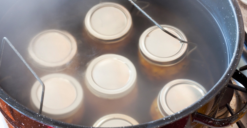 Canned peaches Canned peaches