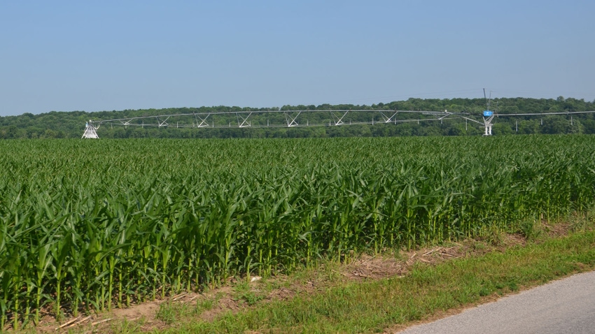 Irrigation system over cornfield Irrigation system over cornfield