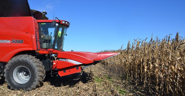 combine harvesting corn