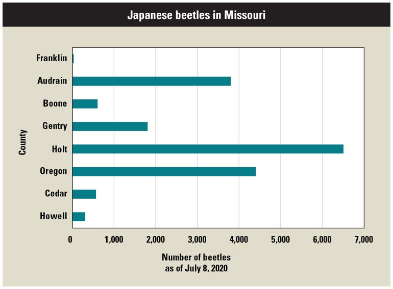 A graph that shows the number of beetles in Missouri counties