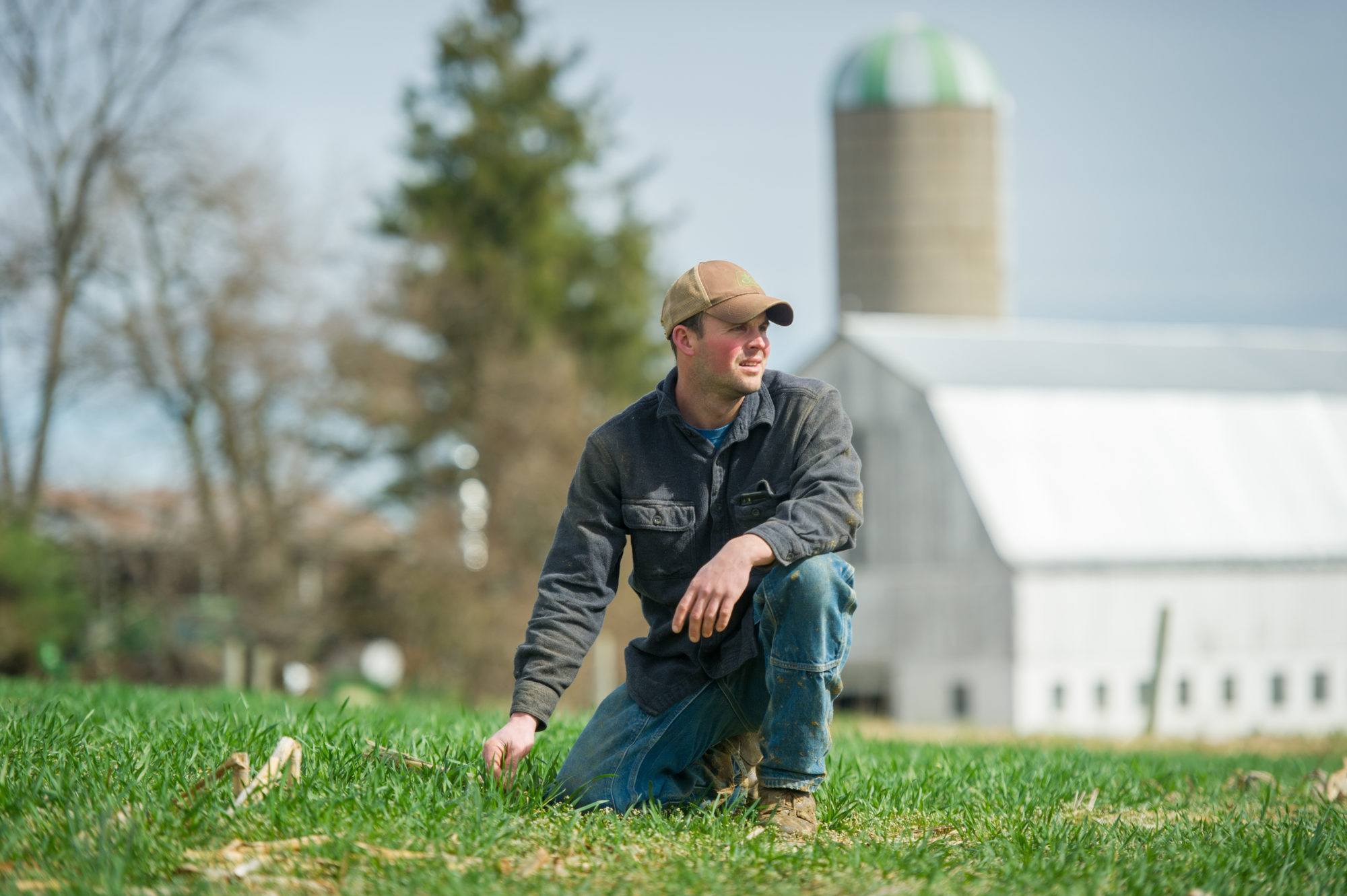 Expiring CSP contracts now eligible for extension in 2019