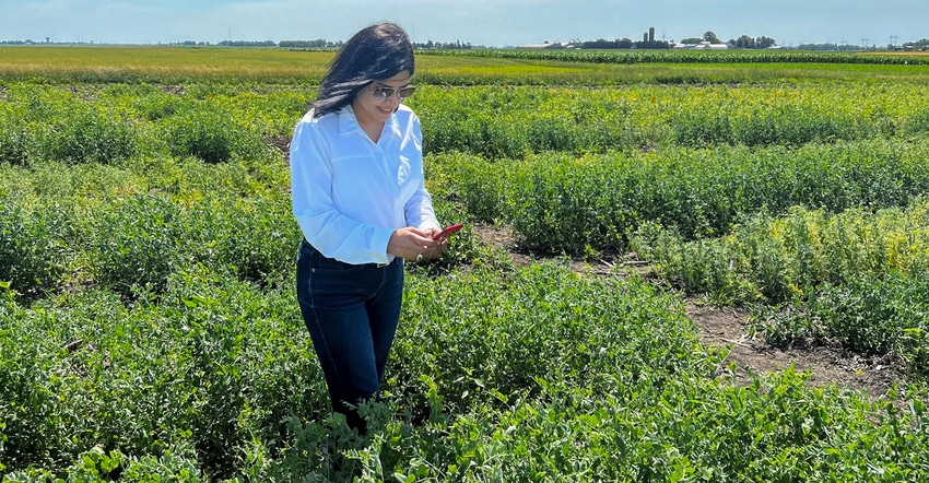 A newly developed smartphone app which can be used to identify insects in fields