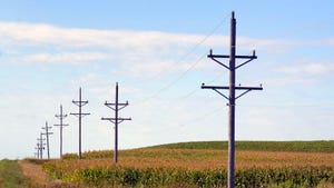 A row of electric power poles supplying electricity to rural area