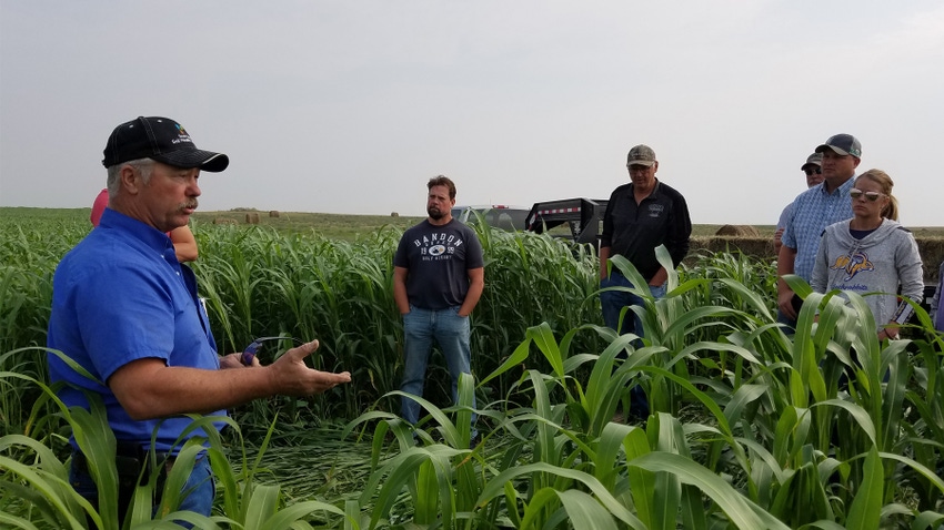 Selby, S.D. producer Doug Sieck in cover crop field