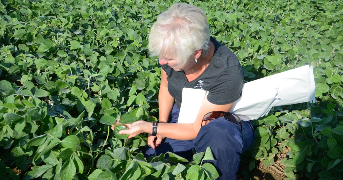 Tissue tests: Let crops do the talking