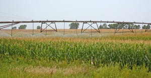 irrigation in corn field