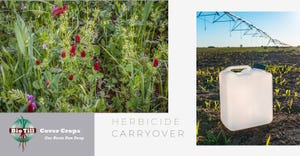 Herbicide Carryover Video Thumbnail Images_1540x800.jpg