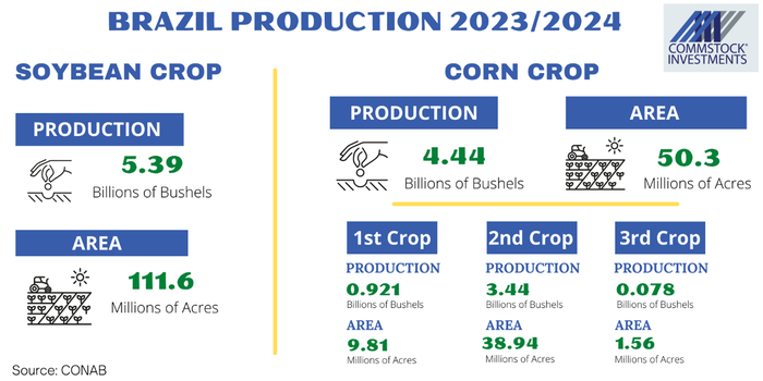 2023/24 Brazilian corn and soybean production statistics infographic