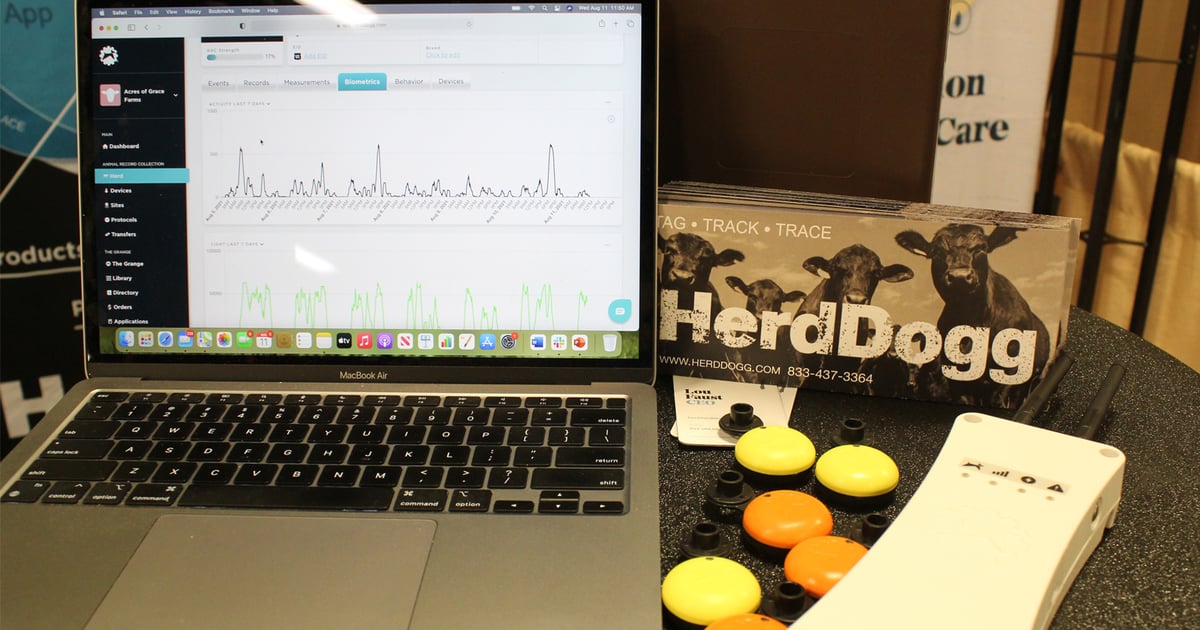Smart tags capture cattle data at a distance