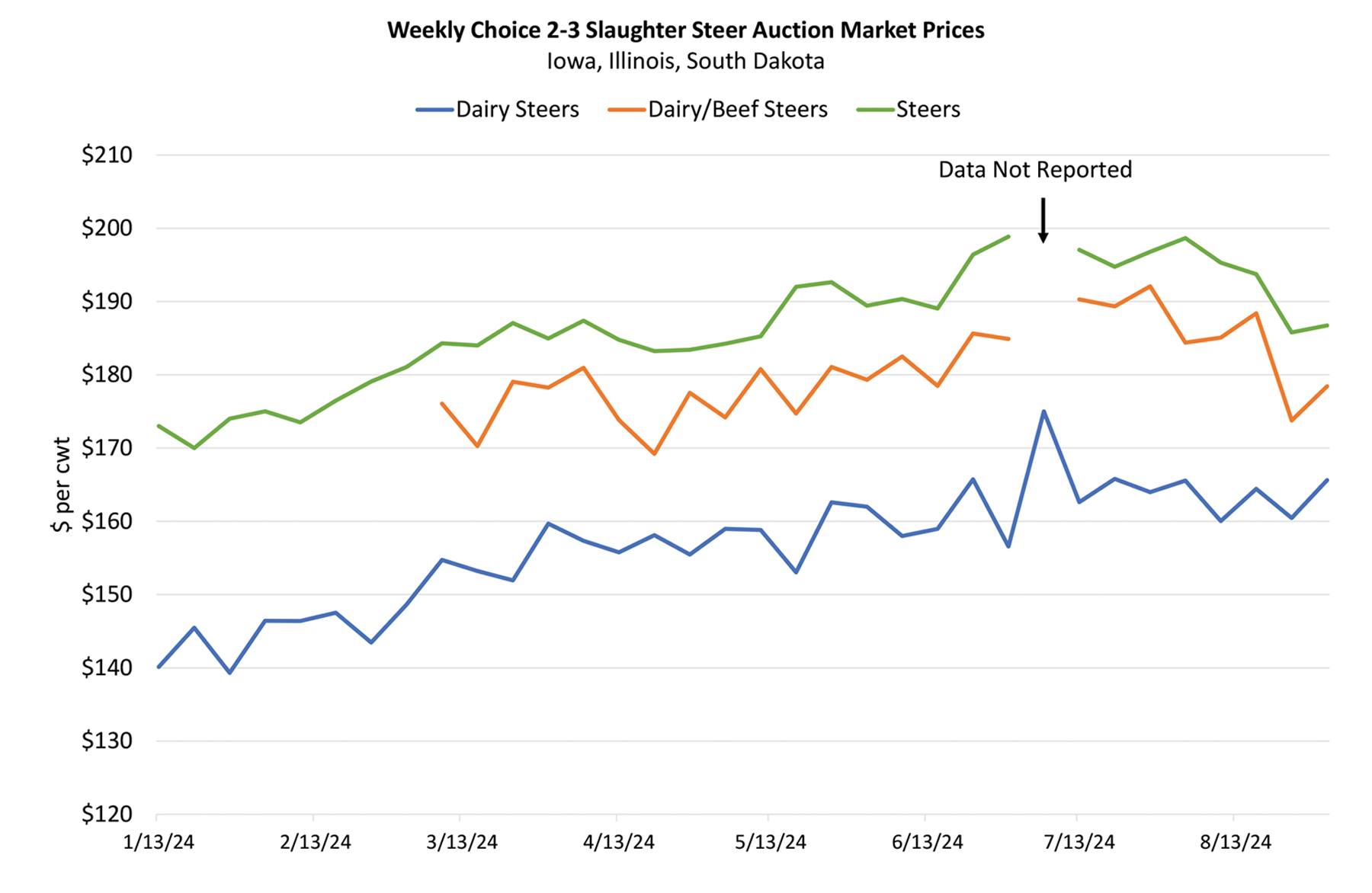 Slaughter steer auction price at market chart