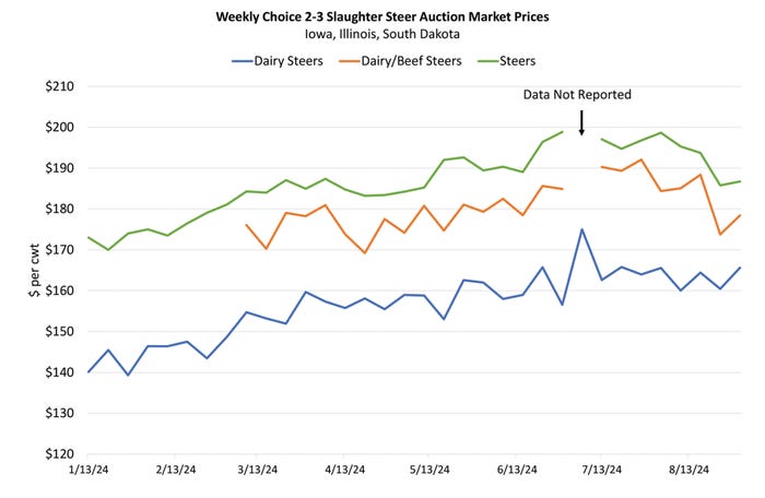 Slaughter steer auction price at market chart