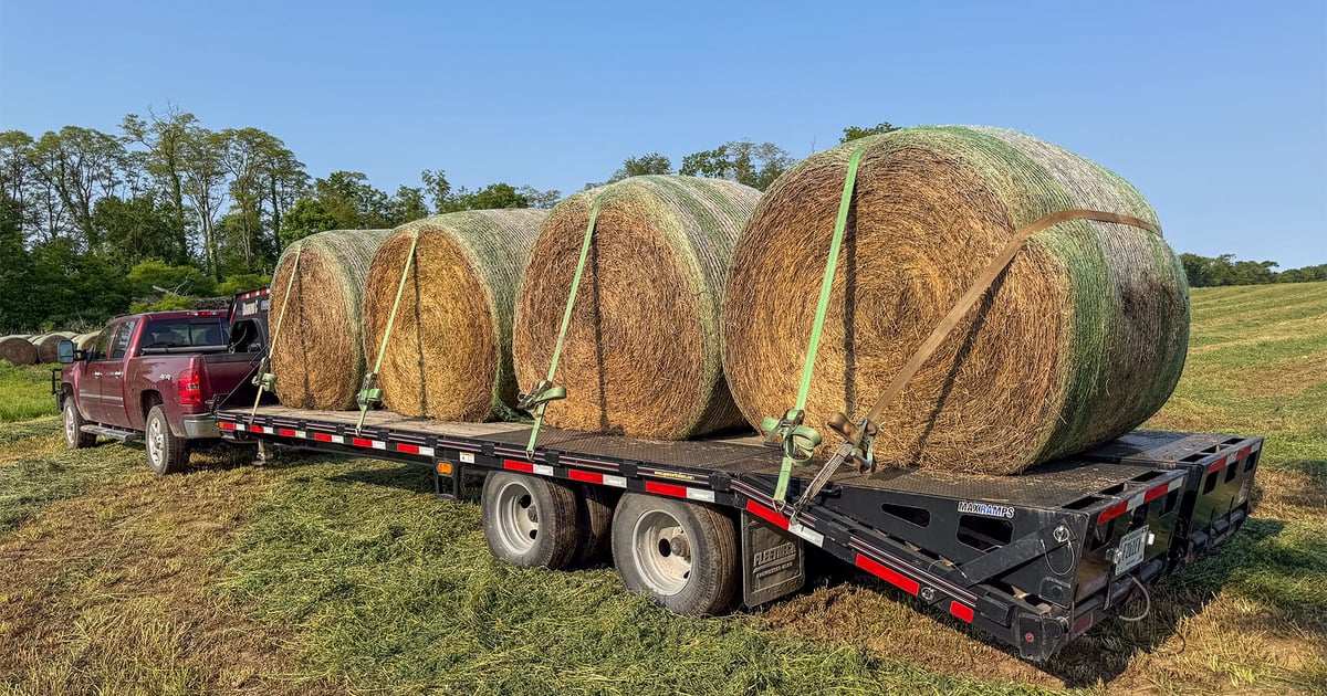 How to secure hay loads: 5 steps for safe and legal transport