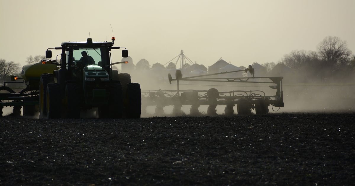 Strategic planting can maximize crop yields