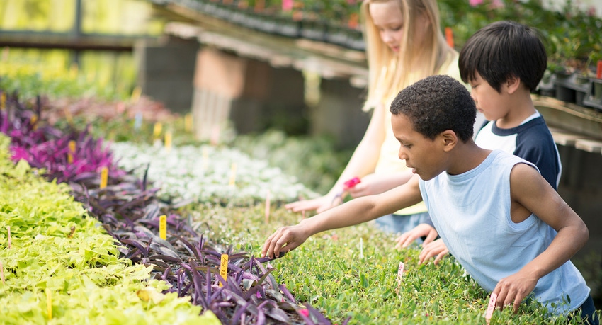 dfp-kidsingreenhouse-fatcameragettyimagesistockphoto-465412262 copy.jpg dfp-kidsingreenhouse-fatcameragettyimagesistockphoto-465412262 copy.jpg