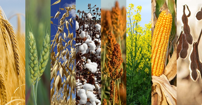 8 grain and oilseed crops compilation