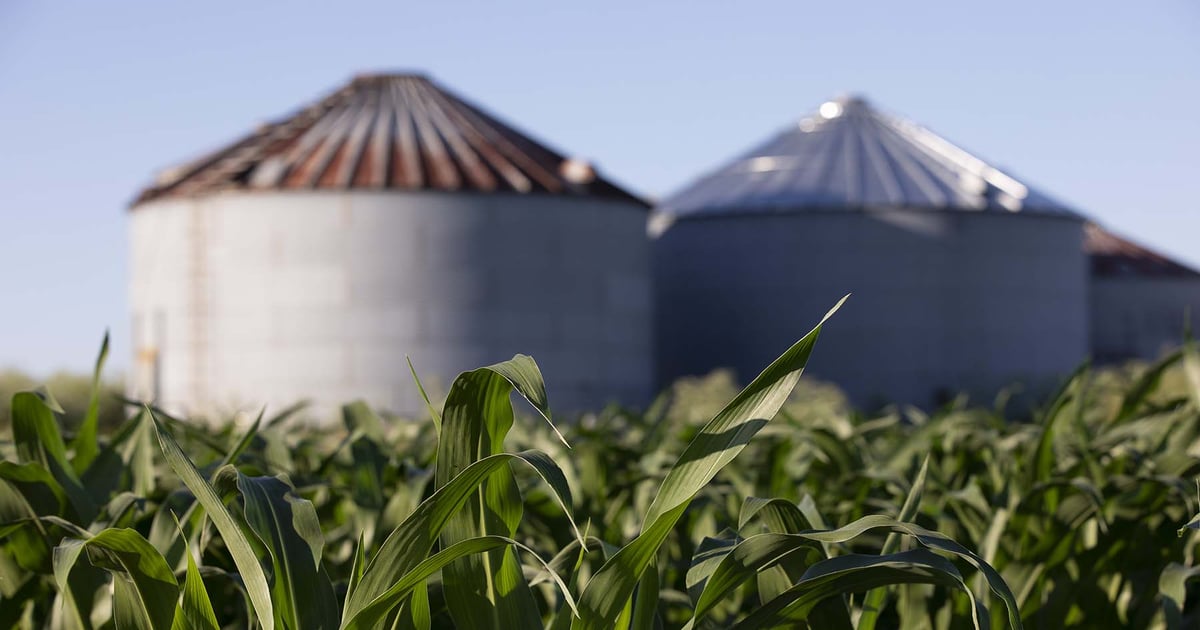 Will tomorrow’s USDA reports shock grain markets?