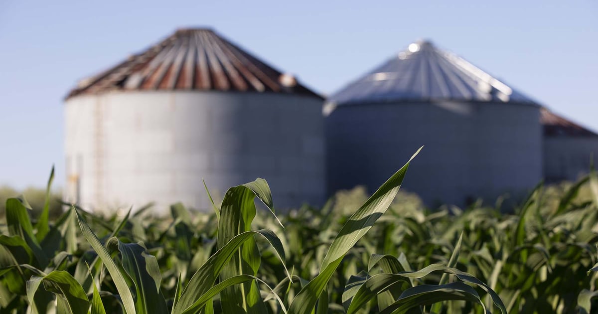 Will tomorrow’s USDA reports shock grain markets?