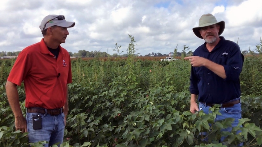 brad-haire-farm-press-culpepper-dicamba-sunbelt-2020-1.jpg brad-haire-farm-press-culpepper-dicamba-sunbelt-2020-1.jpg