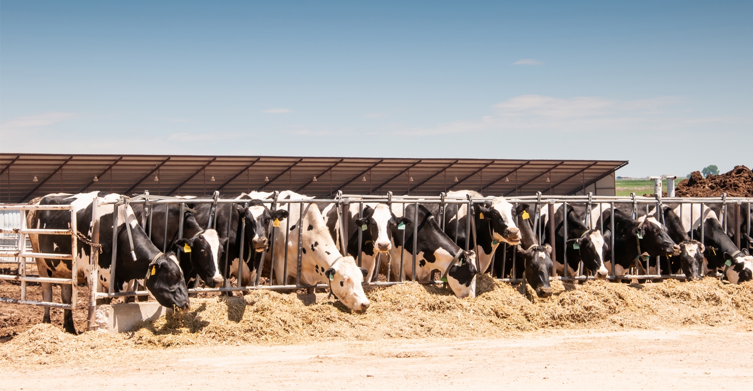 Kansas dairy industry looks at future expansion opportunities