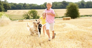 Young boy running with dogs through harvest