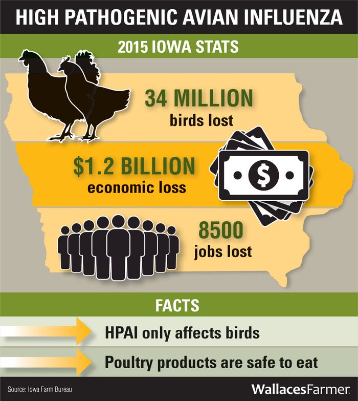High pathogenic avian influenza Iowa stats 