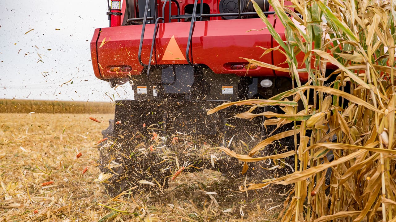 Corn fodder management options for farmers