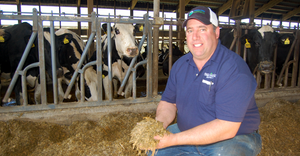 Neil Peck feeds corn silage to his 950 cows and 950 heifers
