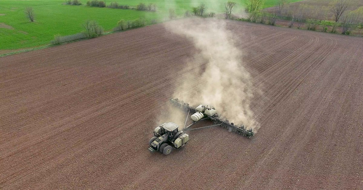 Does early planting forecast a large crop?