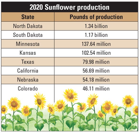 Sunflower production table