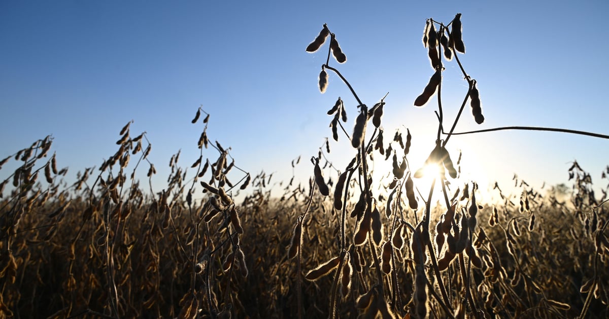 Resilience protects farms from financial shocks