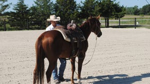 Rancher saddling a horse
