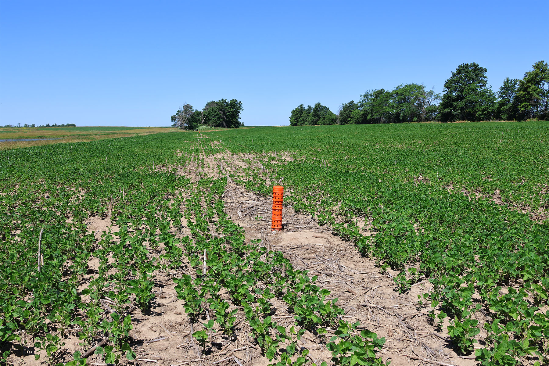Missouri farmers boost yields with smart water management techniques