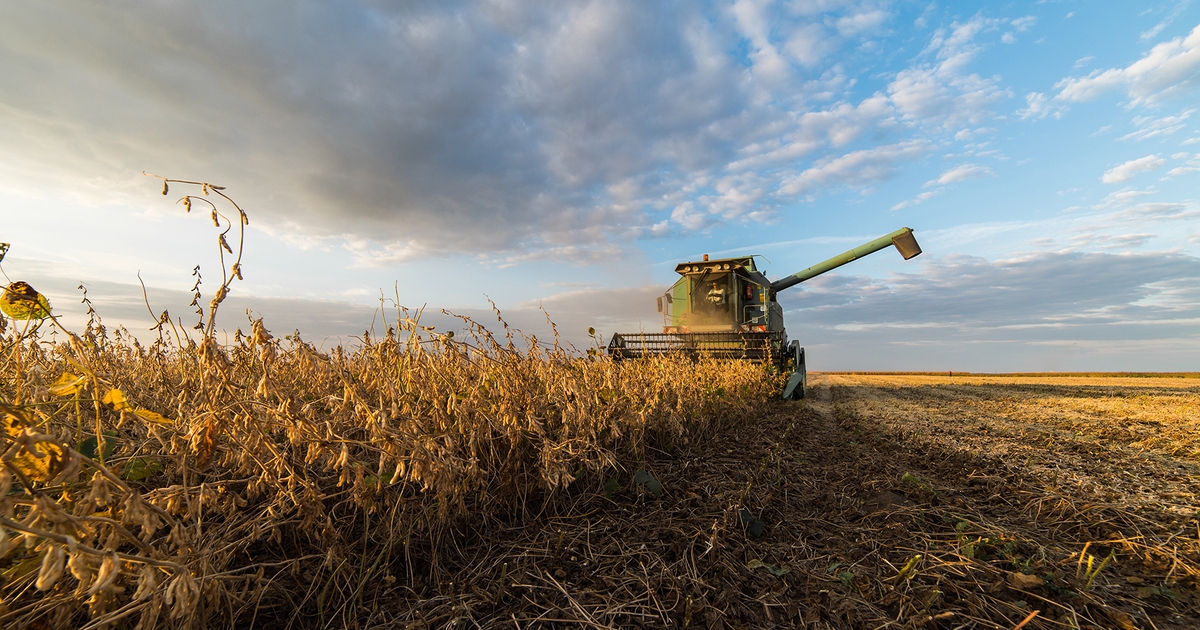 USDA to begin making Pandemic Assistance Relief Program or PARP payments