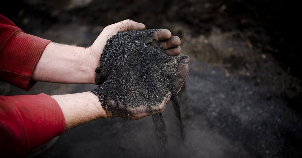 Biochar benefits also raise questions