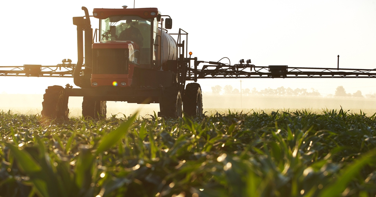 5 tips for leveraging early-season crop technology