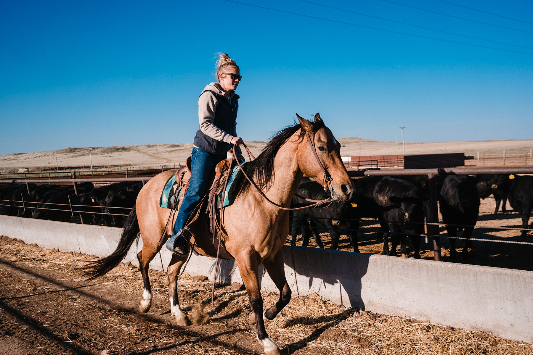 Nebraska cattle ranching thrives in Panhandle