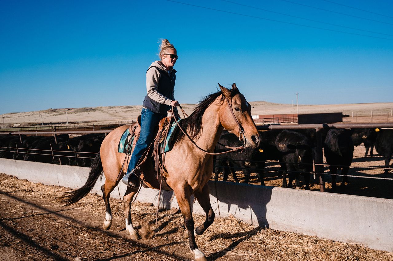 Nebraska cattle ranching thrives in Panhandle