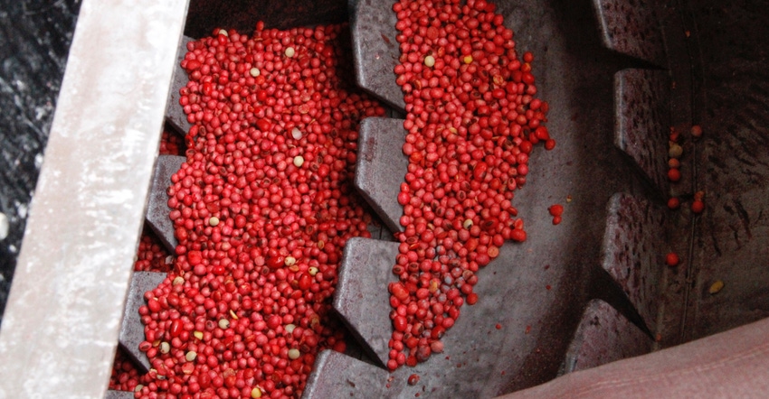 soybeans treated with a fungicide