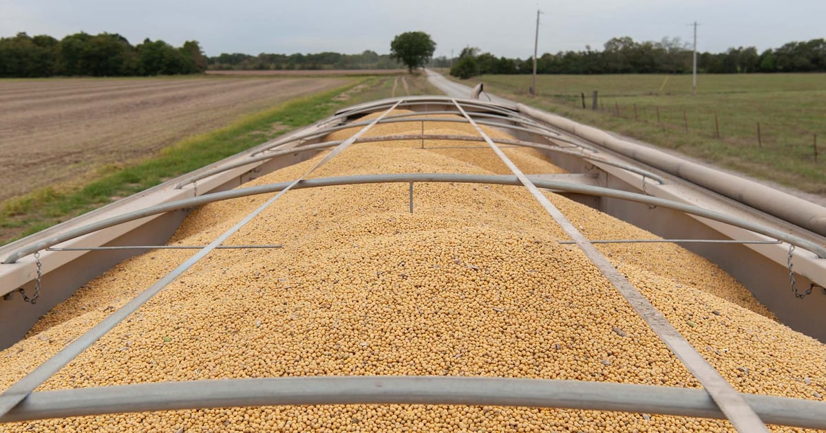 China's $17B farm pledge sends corn, wheat higher