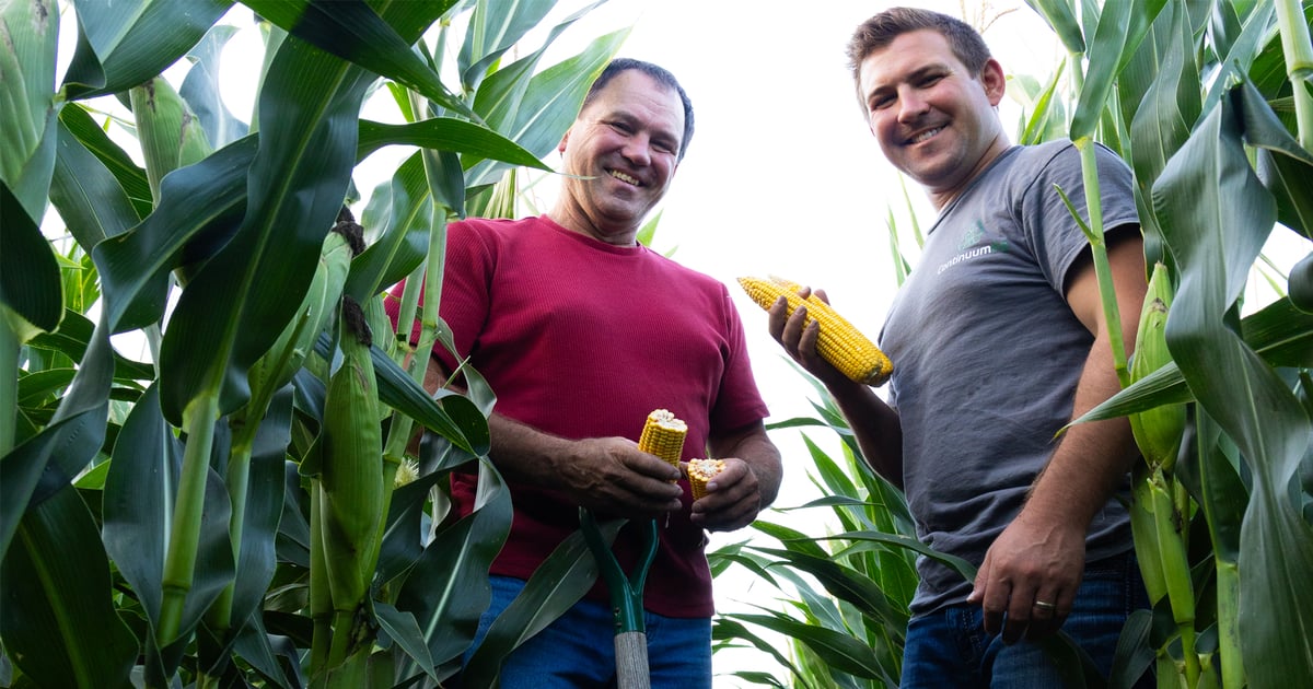 Carbon market could offer farmers opportunity for more money
