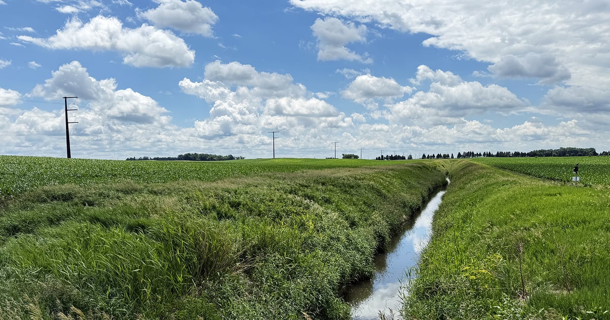 Bottom line improves for water quality-certified farms