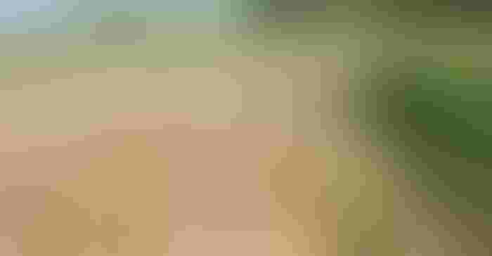 0318W1-1446B-1540x800-Recovered.jpg 0318W1-1446B-1540x800-Recovered.jpg
